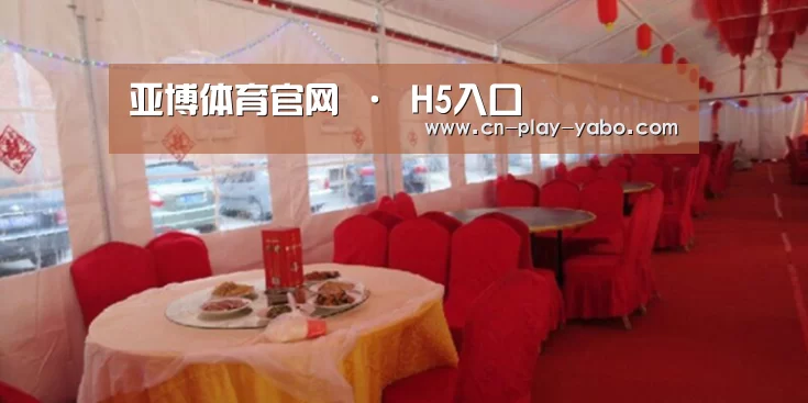 案例标题二