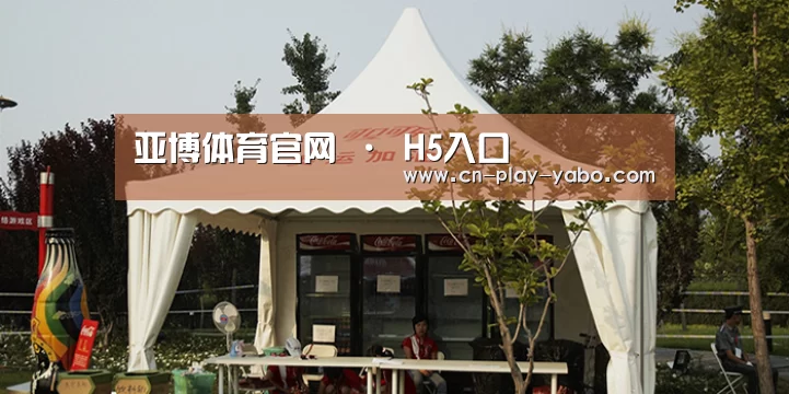 案例标题五