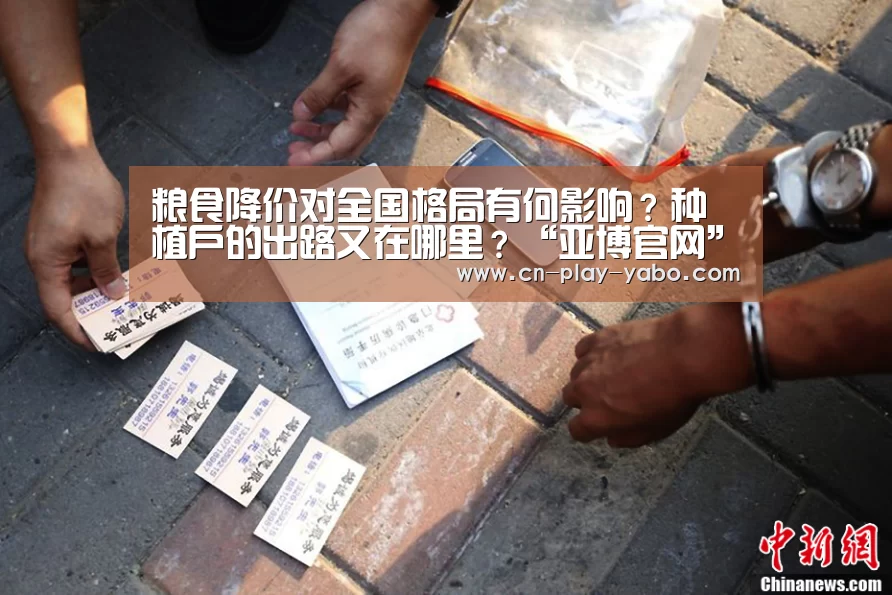粮食降价对全国格局有何影响?种植户的出路又在哪里?“亚博官网”(图3) 亚博平台