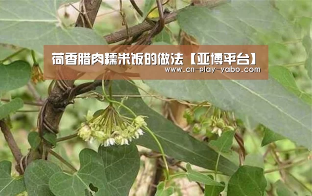 荷香腊肉糯米饭的做法【亚博平台】