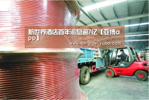 新世界酒店首年派息逾7亿【亚博app】(图4) 亚博官网