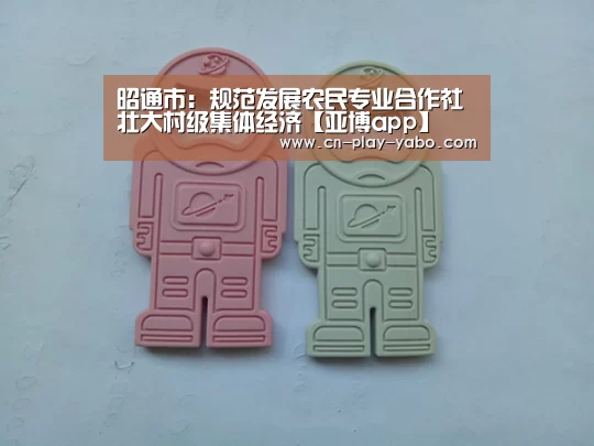 昭通市：规范发展农民专业合作社 壮大村级集体经济【亚博app】