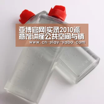 亚博官网|实录2010派意馆讲座公共空间与销售中心