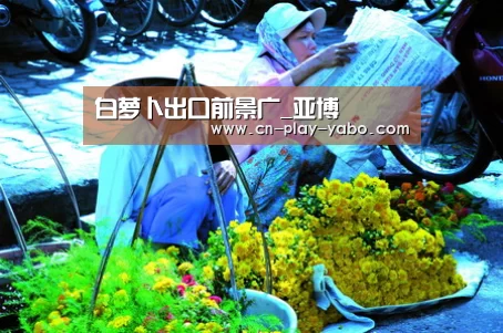 亚博平台